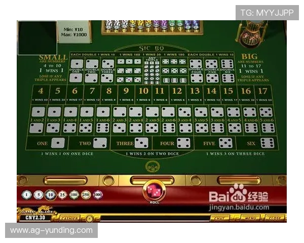 最新骰宝桌面游戏推荐及安装使用方法让你轻松上手快速入门